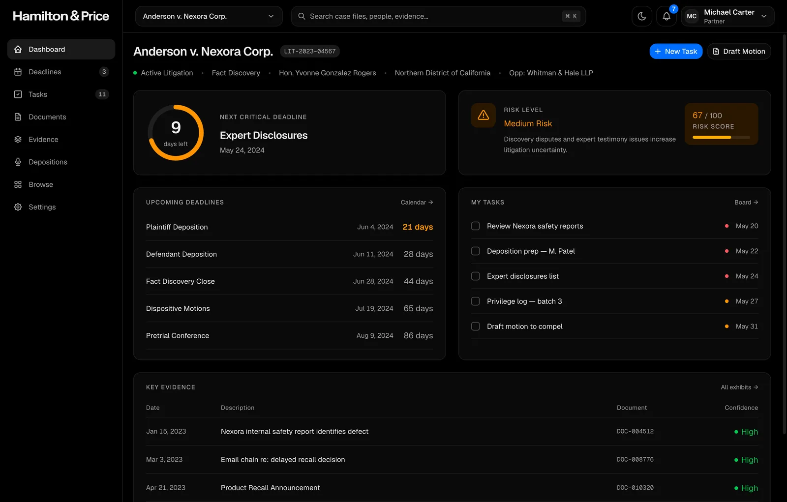 Litigation Dashboard preview